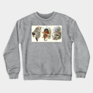 Animals Of Australia The Possums Crewneck Sweatshirt